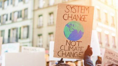 system-change-not-climate-change-sign in hands of protestor