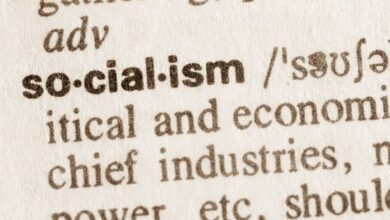 socialism defined in the dictionary