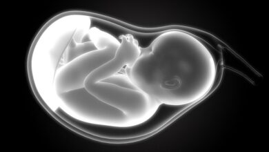 preborn-Baby-Sucking-thumb-in-womb small