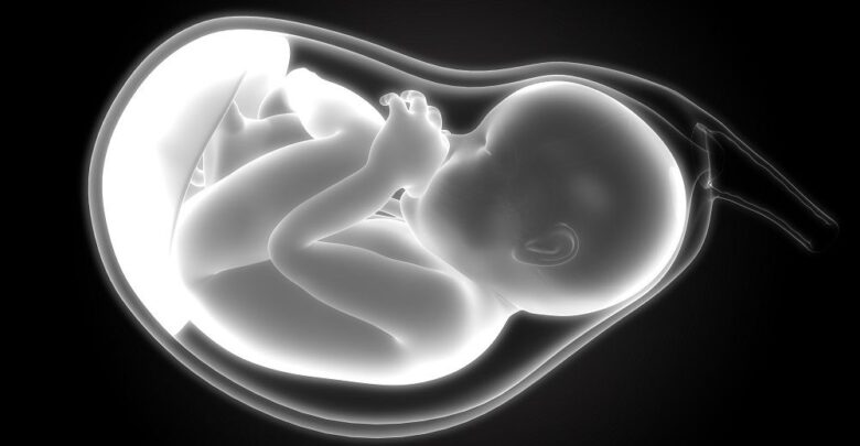 preborn-Baby-Sucking-thumb-in-womb small